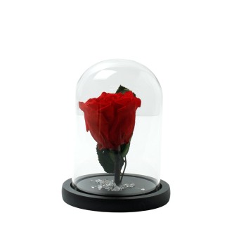Beauty And The Beast  Red Rose Small Campana